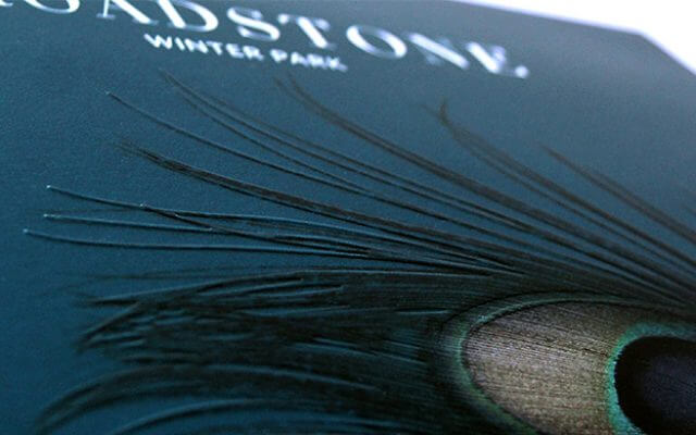 close up of brochure for Broadstone Winter Park peacock feather