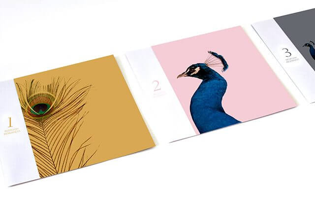 Print materials featuring a peacock for Broadstone Winter Park