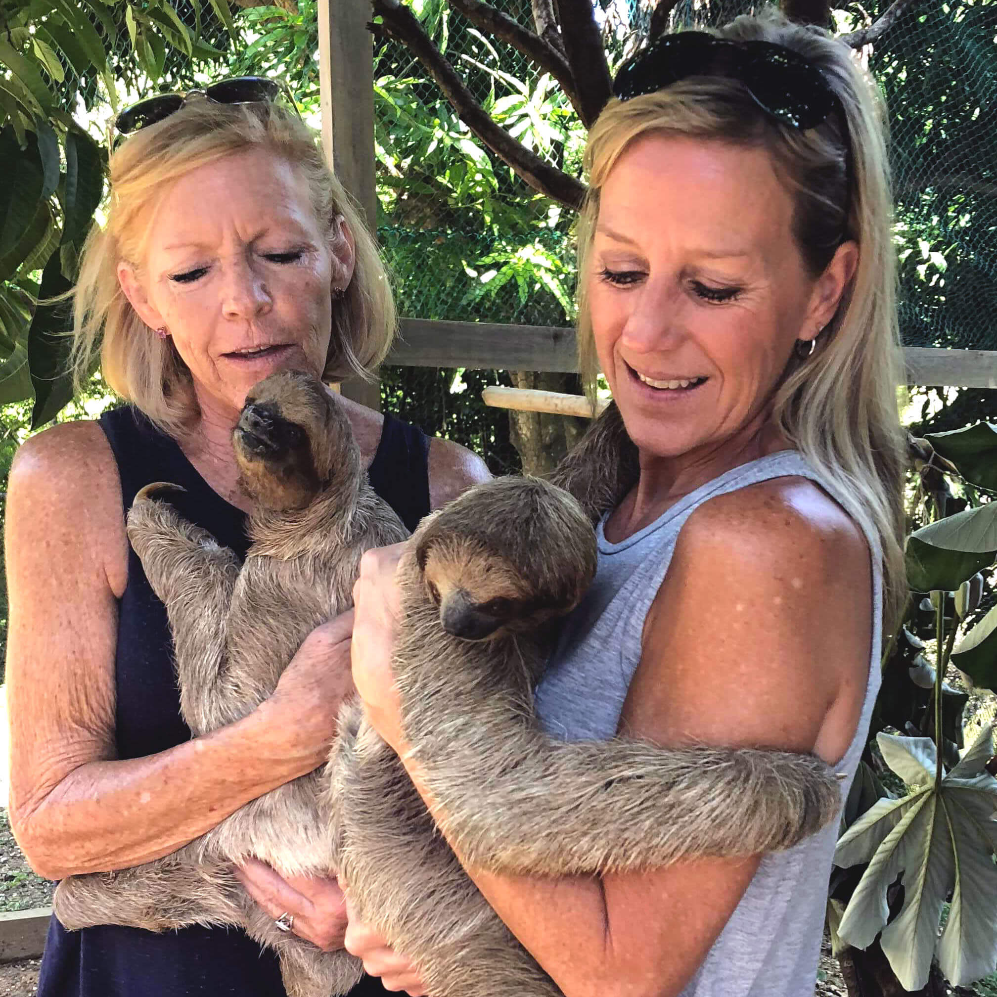 Babette gets some snuggles in with a sloth encounter...