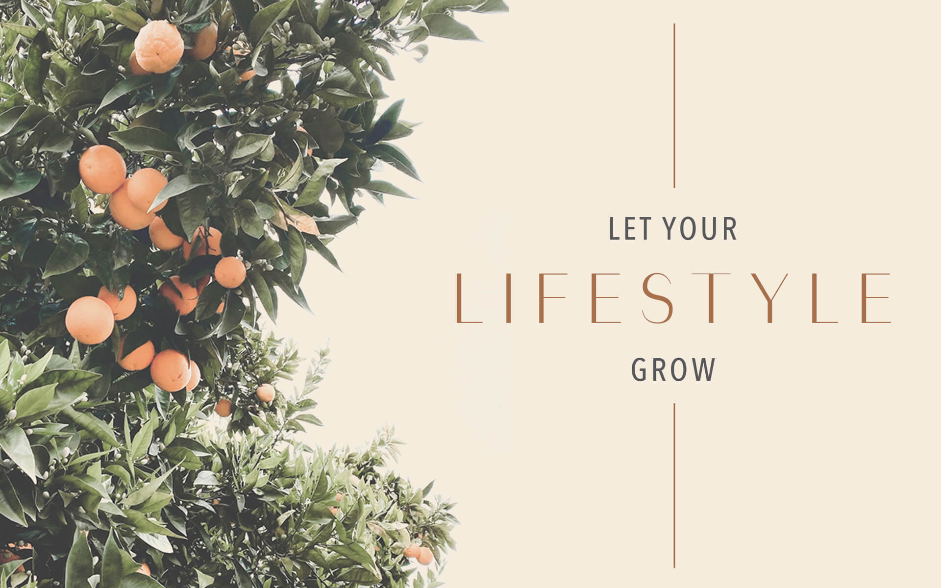Ezelle Apartments - Let Your Lifestyle Grow