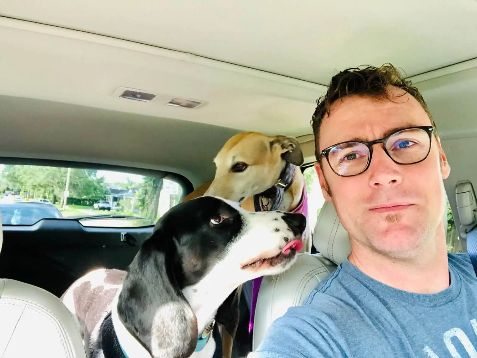 John Cox and his dogs